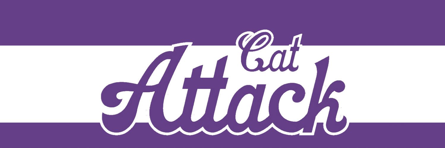 CatAttackPod's profile banner image
