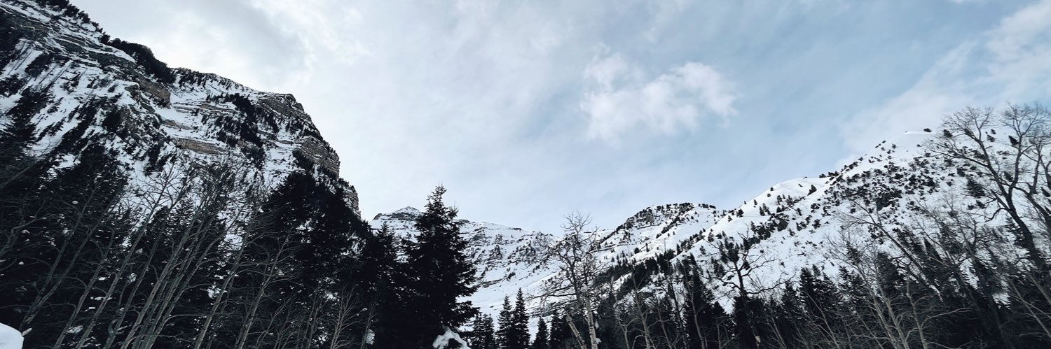carobini's profile banner image