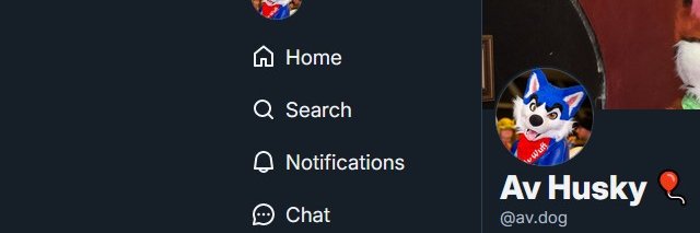 Av Husky ➡️ bsky @av.dog banner