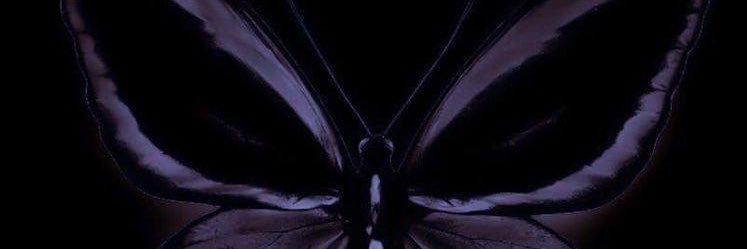 𝒮 𝐻 𝐸 𝐺 𝒪 🩷. banner