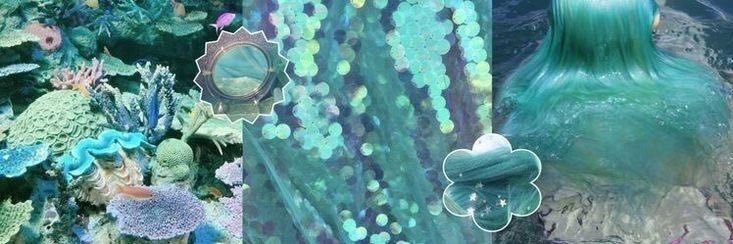 ray ✶'s banner