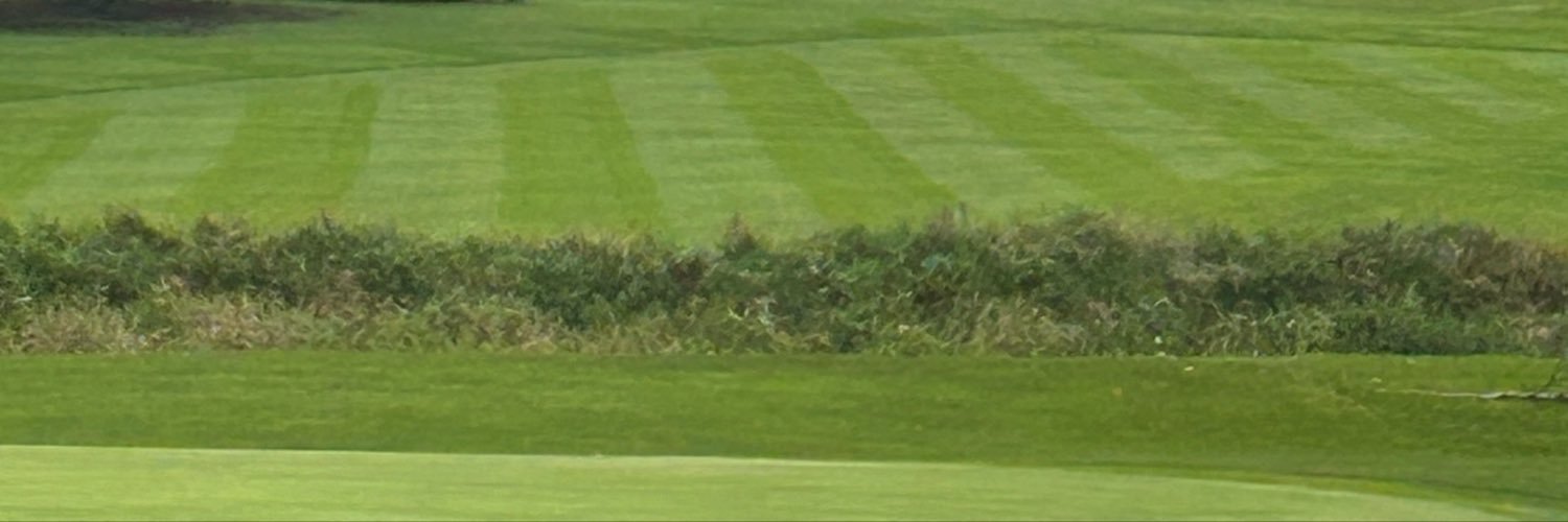 RonaldWill26570's profile banner image