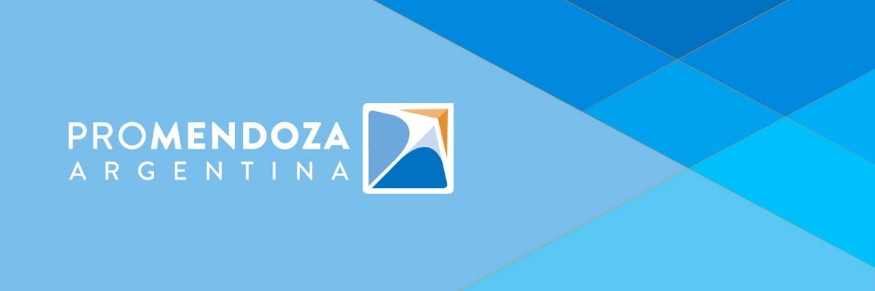 Fundación ProMendoza banner