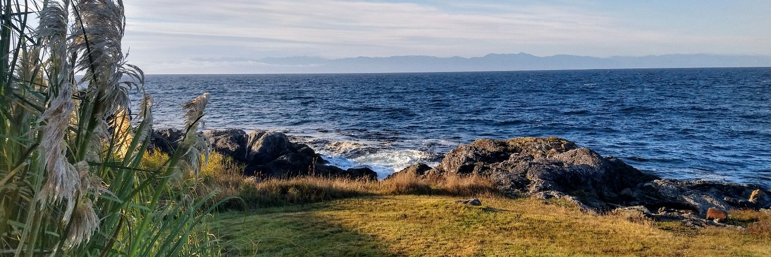 George Anders banner