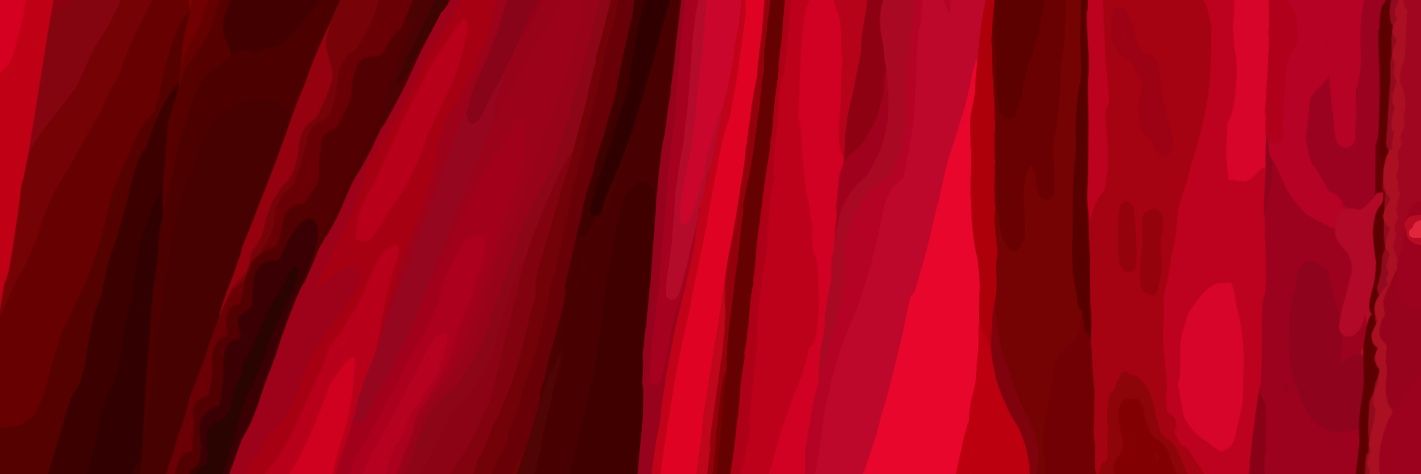 𝙉𝙑𝙈𝘾𝘼𝙍𝙊𝙇𝙄𝙉𝙀 banner