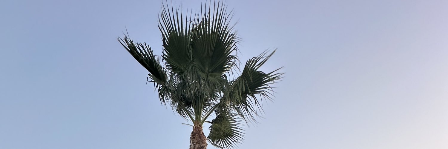 Axeel_P3's profile banner image