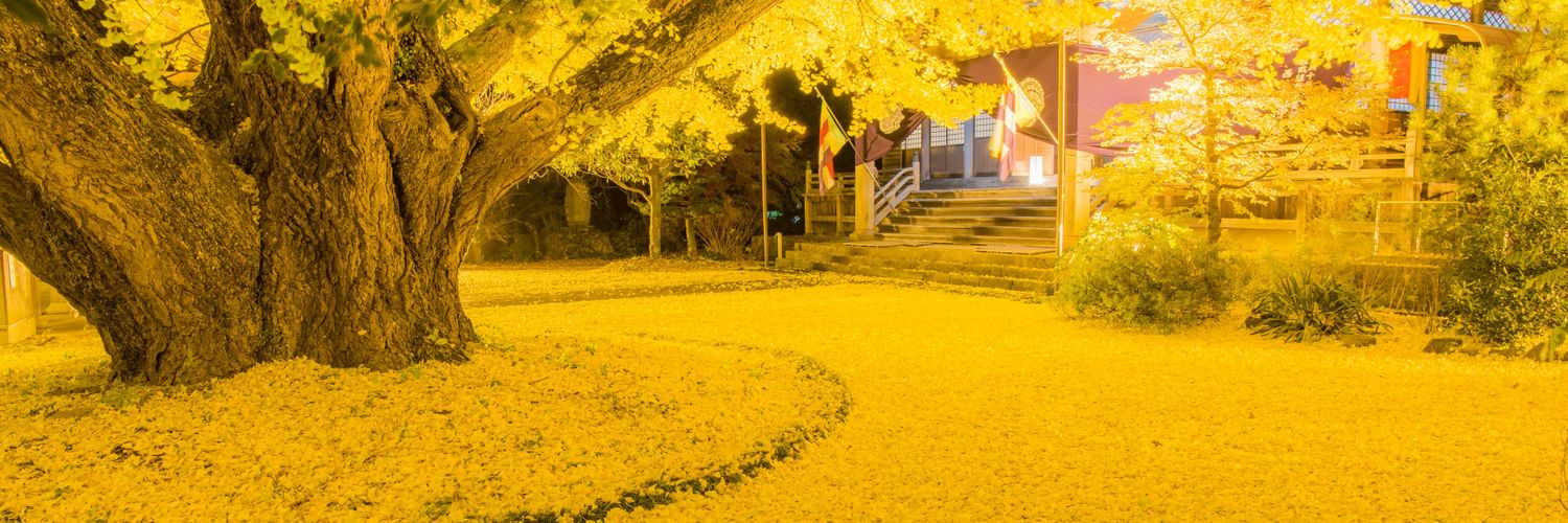 Kayano_ta29's profile banner image