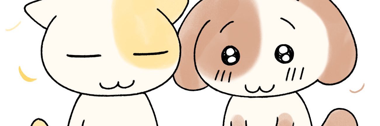 모's banner