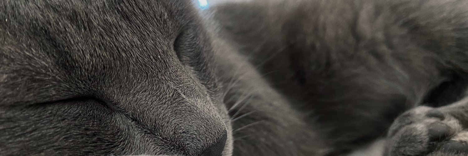 ixiamanda's profile banner image