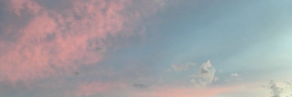 turbulentindig_'s profile banner image