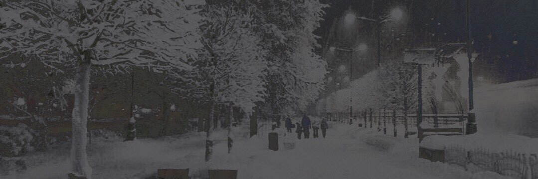 Nico D'Angelo banner