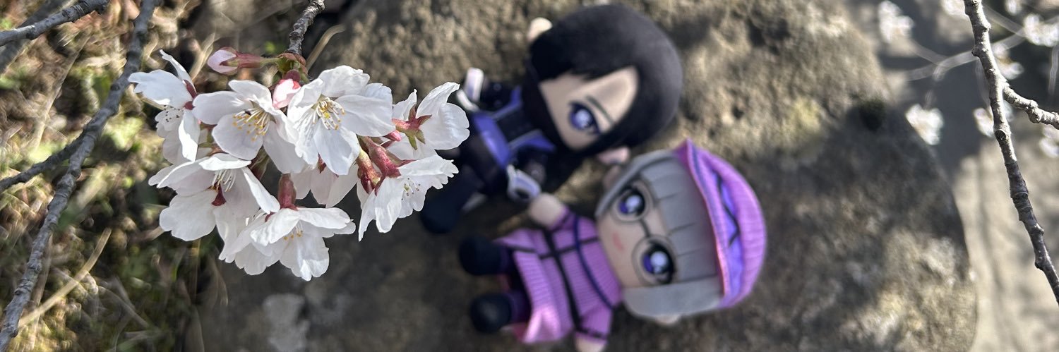 norina64's profile banner image
