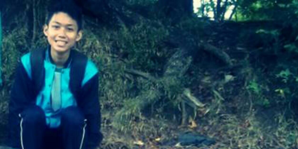 satryanadinata's profile banner image