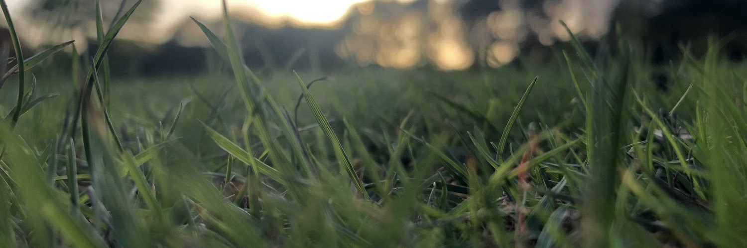 steviebeef75's profile banner image