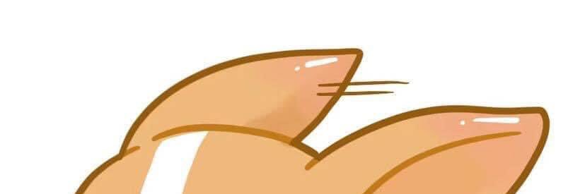 GodCat 🍊,💊 | 𝔽rAI π² banner