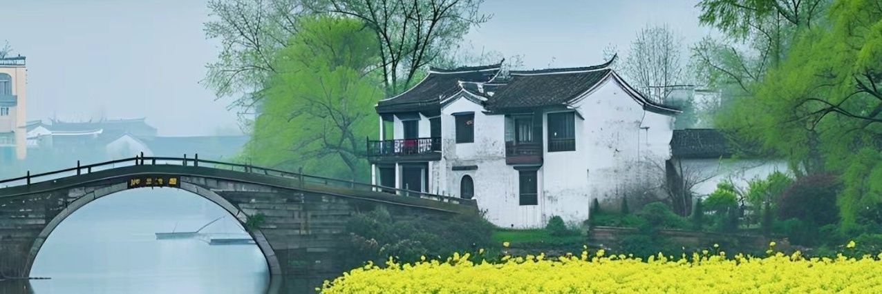 蝴蝶兰儿 banner
