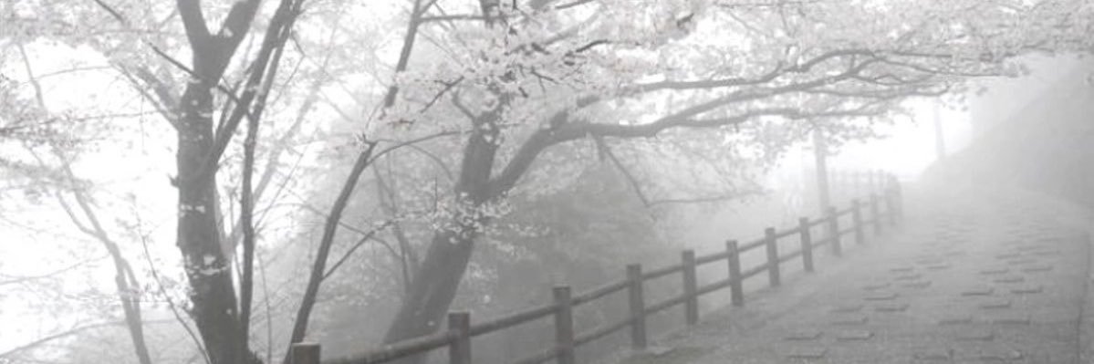 jay 🤍 thrain’s beloved banner