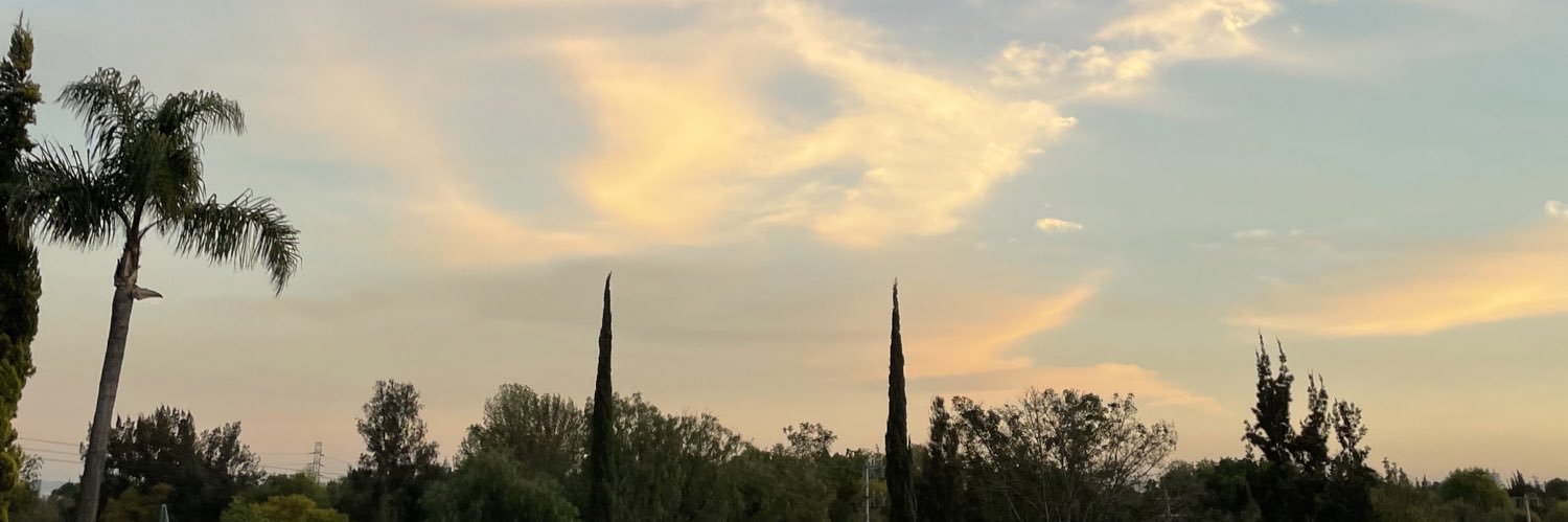 Paco_Towersg's profile banner image