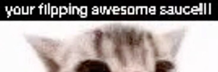 Stella banner
