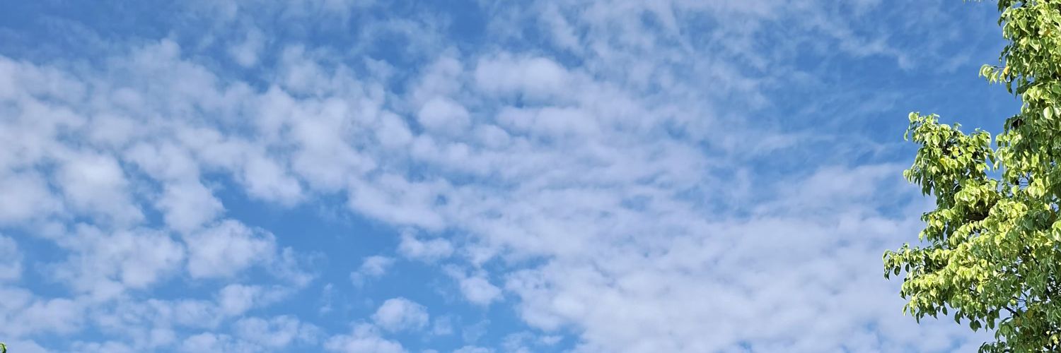 nithabaiti's profile banner image