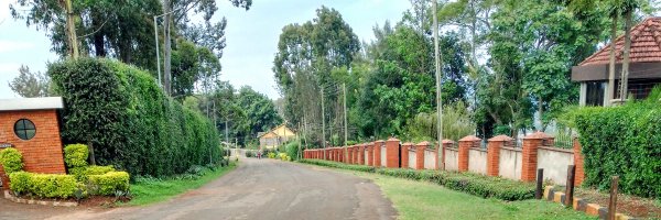 gubaso2 Profile Banner