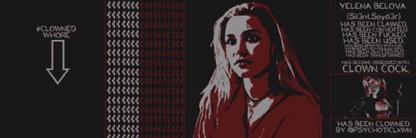 Sil3ntSpyd3r Profile Banner
