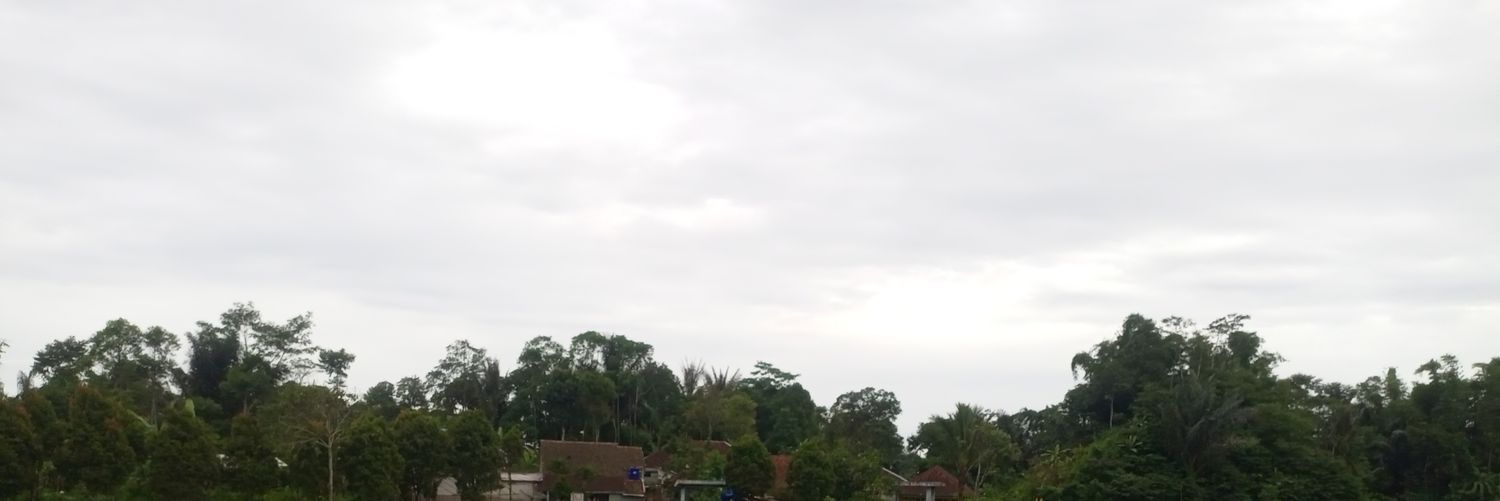 roberth0x's profile banner image