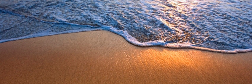 MAPwellbeing's profile banner image