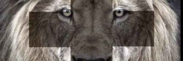 IDourado's profile banner image