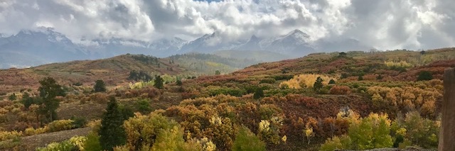 Walter Mitty 🚴‍♂️💨 banner