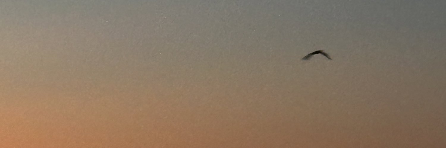 Stef Jorgensen banner