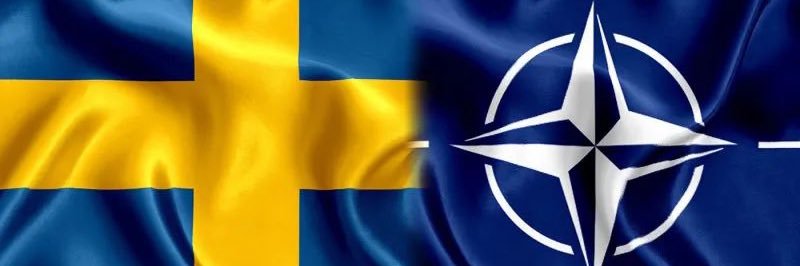 Katarina Tolgfors 🇸🇪🇺🇸🇺🇦🇮🇱's banner