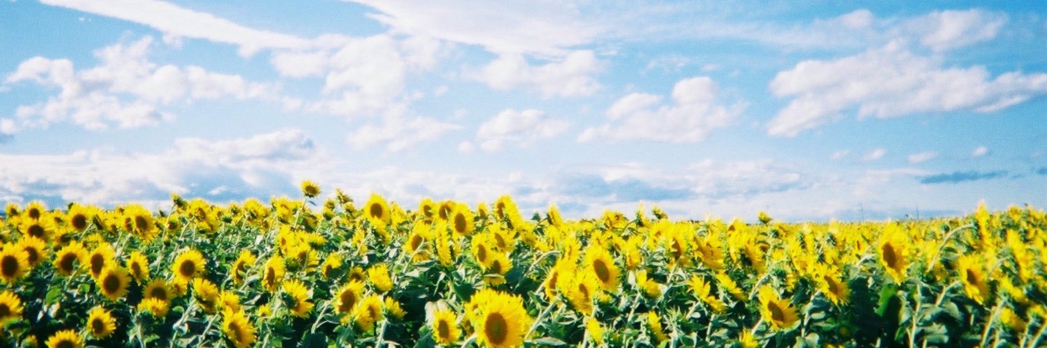 _6moe4_'s profile banner image