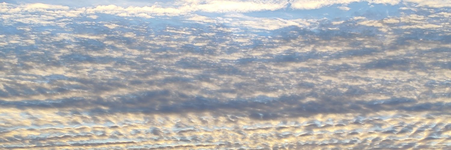 💥 🇺🇲 The Great Reset 🇪🇺 💥 banner