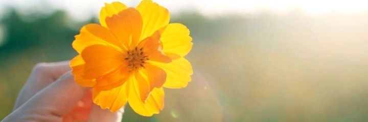 workathumanity's profile banner image