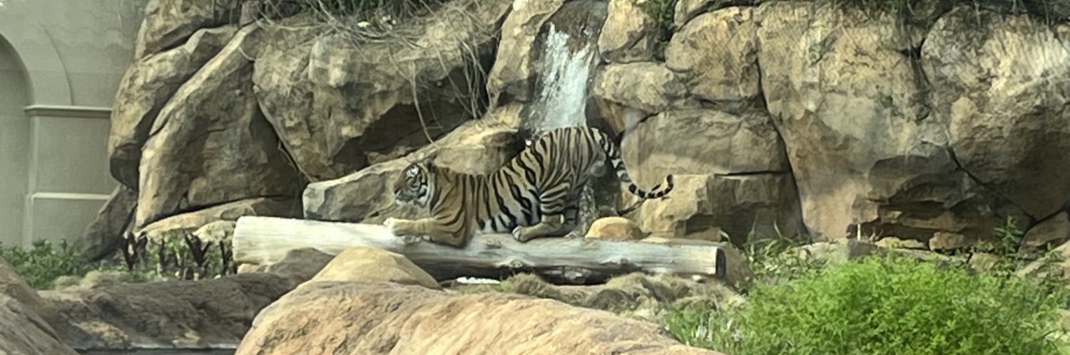 Jason Watson Jr banner