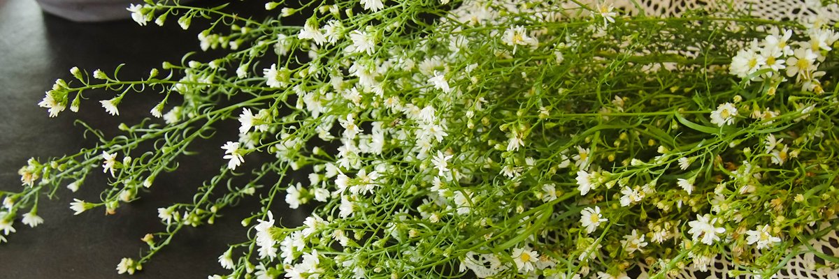 ´••` นู๋วว์ นิด ꔛ 𓈒 * banner