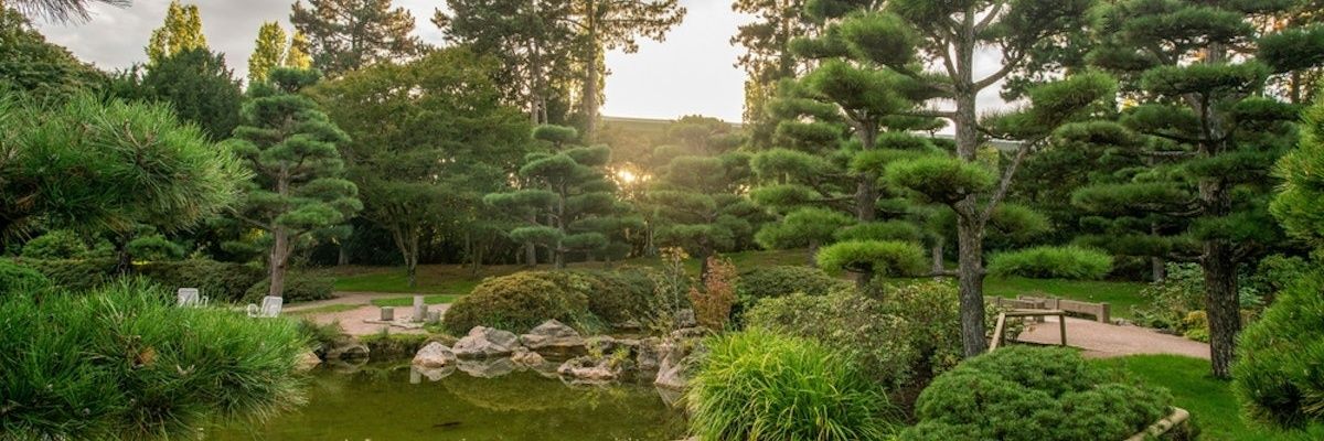 tdandato's profile banner image