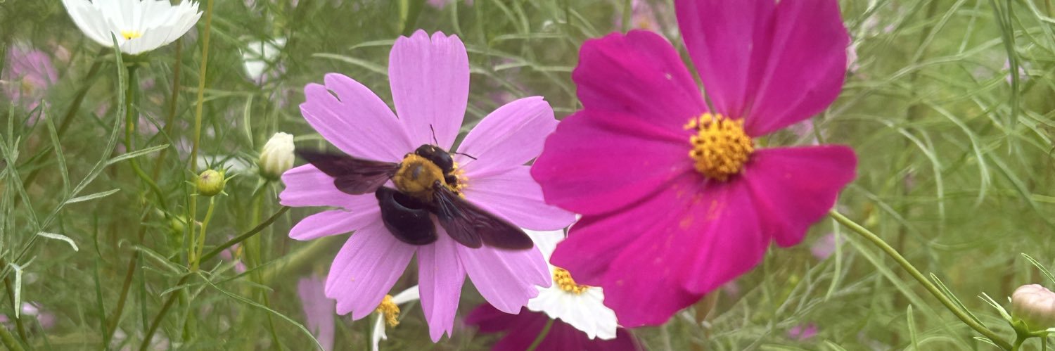おもちゃ屋YUTA banner