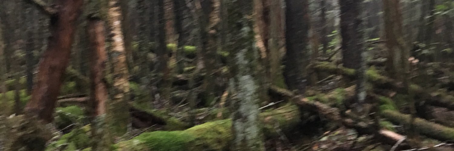 cattmaxx11's profile banner image