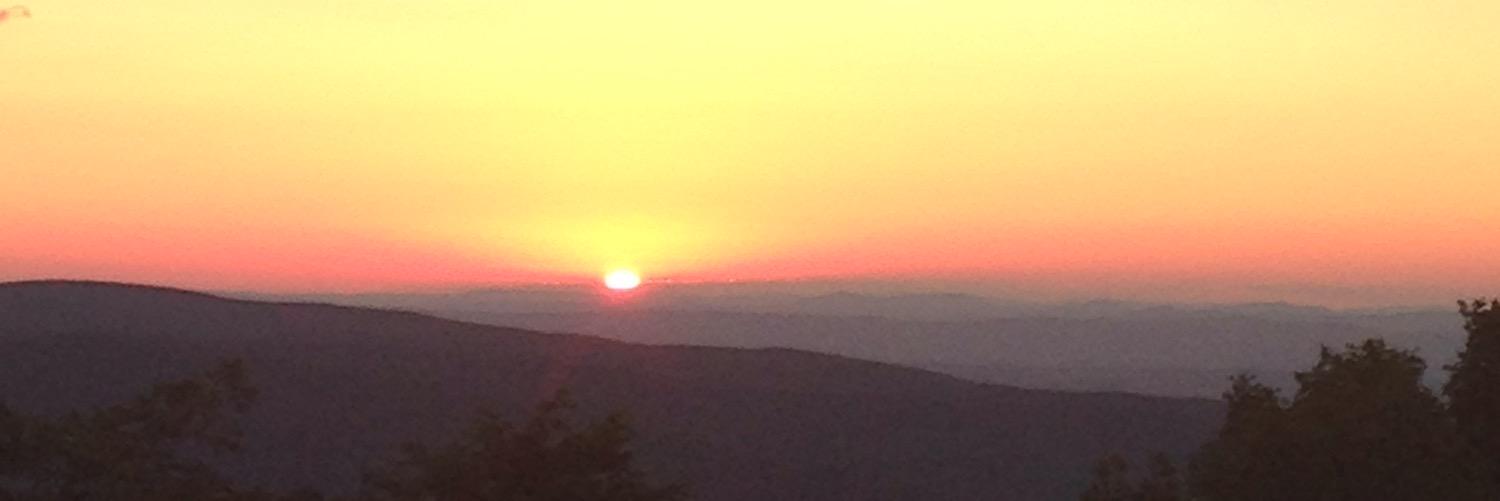 Colette Bounet banner