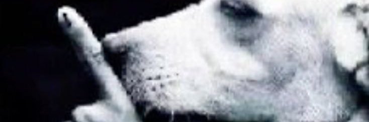 Eidan 🍋's banner