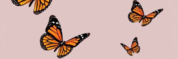 CarolineVames1's profile banner image