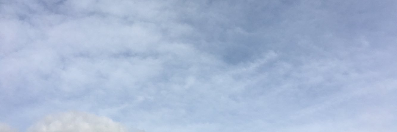 SepticLimey's profile banner image