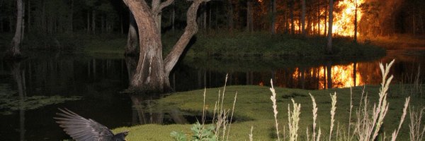 bb4ng3l Profile Banner