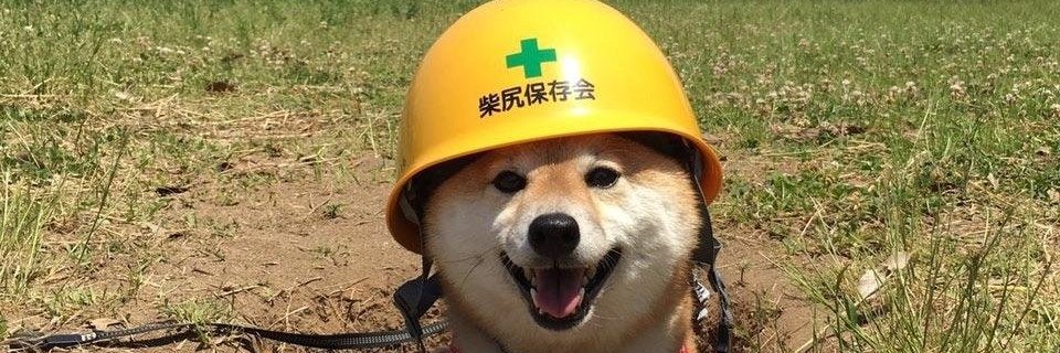 William Wallace banner