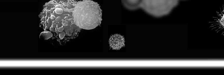 info@ergogenics.org banner