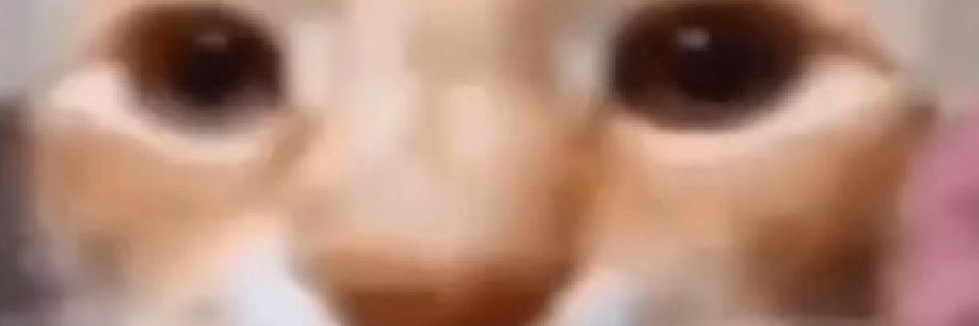 FakeIod74694's profile banner image