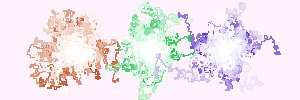 titia_til's profile banner image