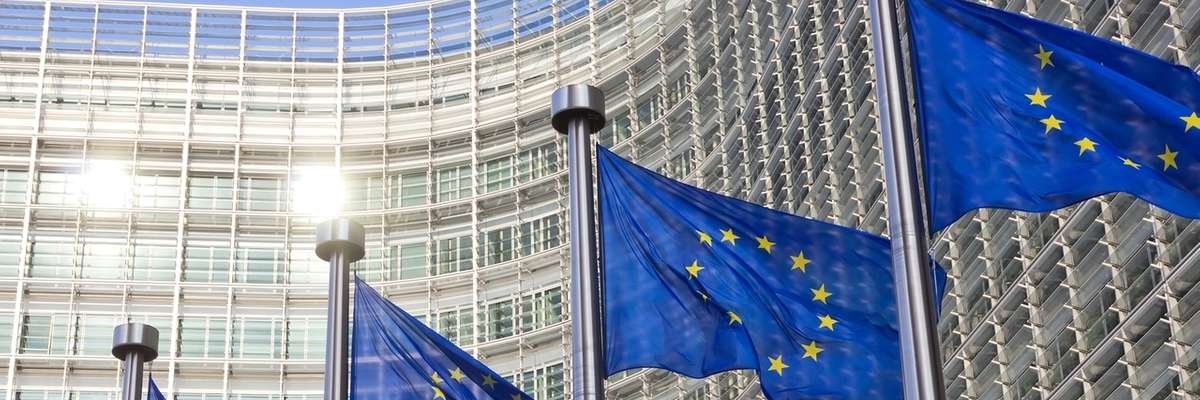 Daniel Kleingrewe banner